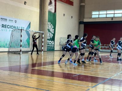 macro regionales de handball