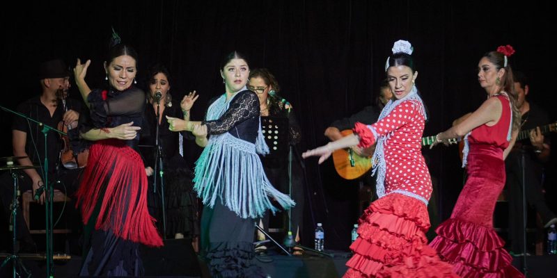 Flamenco Plata y Cantera