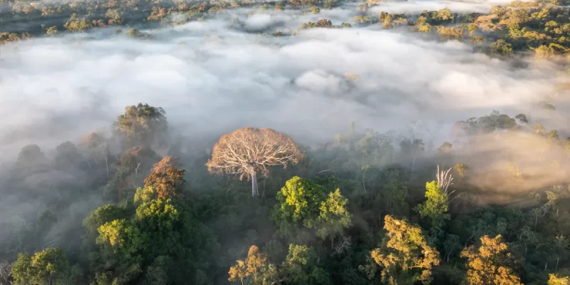 Amazonía ecuatoriana
