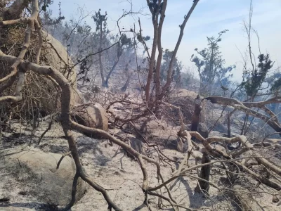 Incendio en el Parque Nacional El Veladero