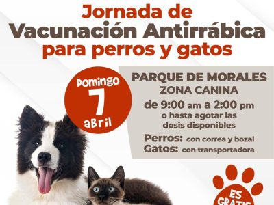 antirrábica canina y felina