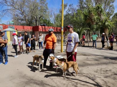 Jornada Nacional de Vacunación Antirrábica