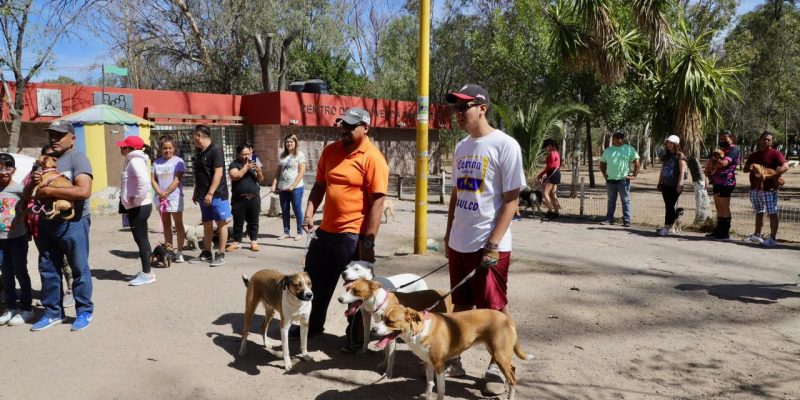 Jornada Nacional de Vacunación Antirrábica