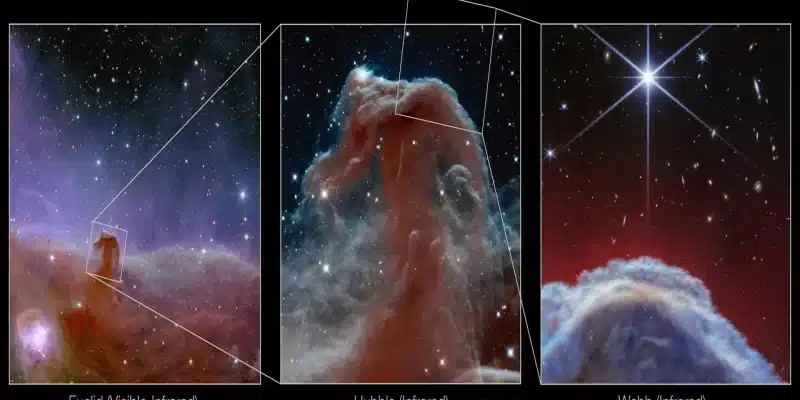 nebulosa “Cabeza de Caballo”