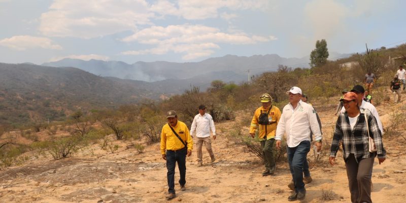 INCENDIO FORESTAL EN SANTA MARÍA 