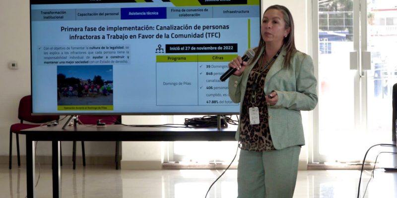 políticas públicas en materia de seguridad