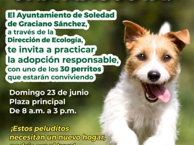 ADOPCIÓN DE MASCOTAS