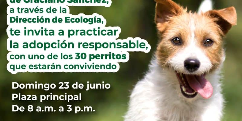 ADOPCIÓN DE MASCOTAS