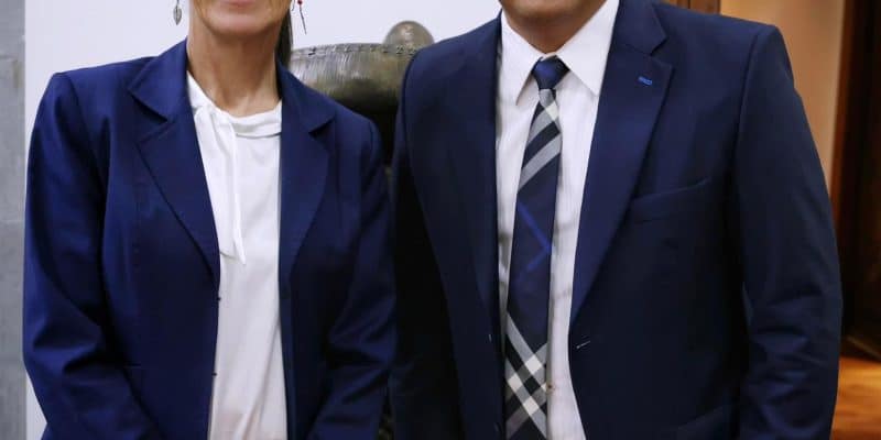 NUEVO GOBIERNO FEDERAL