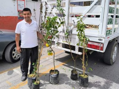 BASURA ELECTRÓNICA A CAMBIO DE ARBOLES