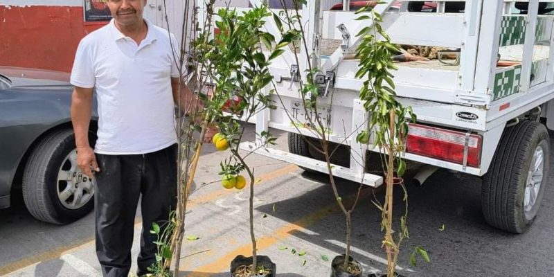 BASURA ELECTRÓNICA A CAMBIO DE ARBOLES