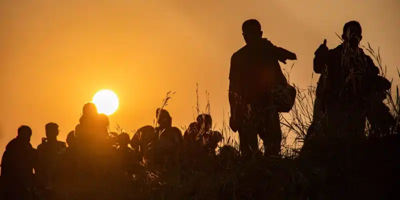 reducción de la migración